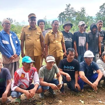 Panen Perdana, Bupati Kepulauan Yapen Benyamin Arisoy Siap Berikan Dukungan Penuh Kepada Petani Bawang Merah di Panduami.