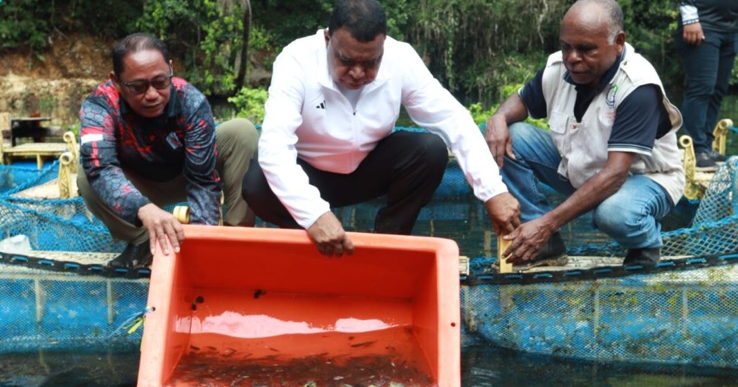 IMG-20250815-WA0053 5.000 Benih Ikan Nila dan Mujair Ditebar di Keramba Budidaya Ikan Kampung Sarawandori