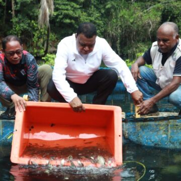 IMG-20250815-WA0053 5.000 Benih Ikan Nila dan Mujair Ditebar di Keramba Budidaya Ikan Kampung Sarawandori